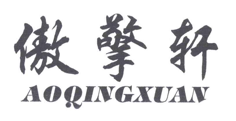傲擎轩