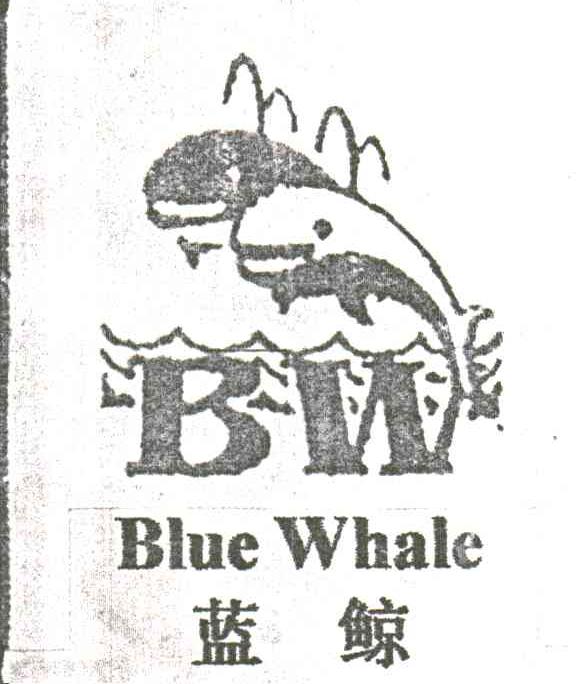 蓝鲸;BLUE WHALE;BW