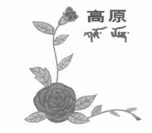 高原