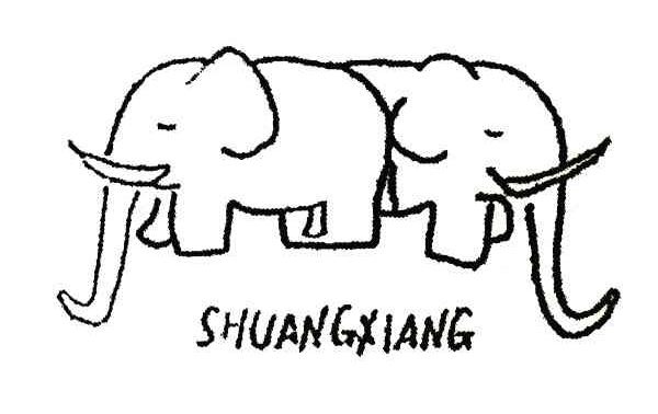 SHUANGXIANG