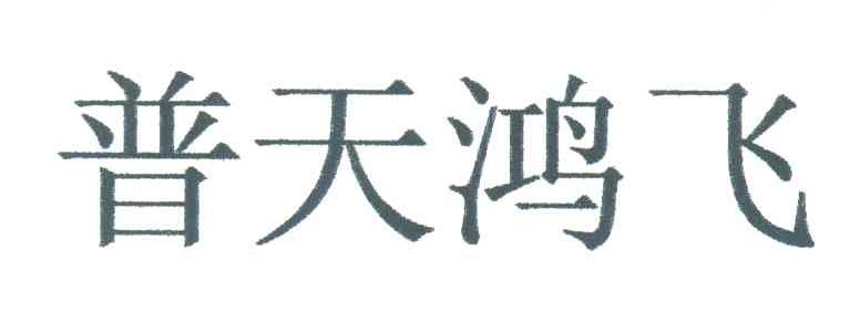 普天鸿飞