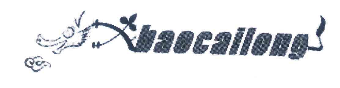 BAOCAILONG