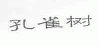 孔雀树
