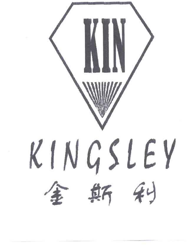 金斯利KINGSLEY;KIN及图