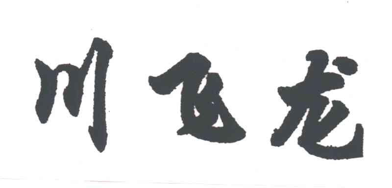 川飞龙