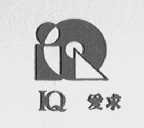IQ  爱求