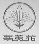 莘荑花