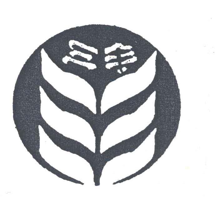 三丰