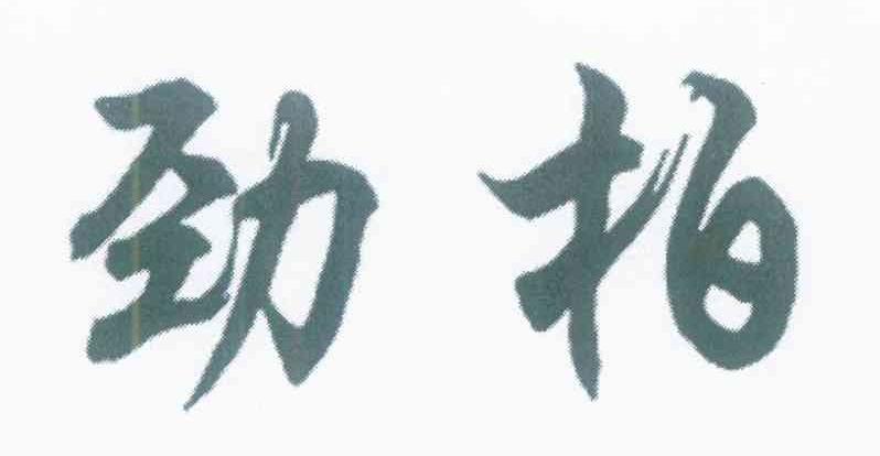 劲柏