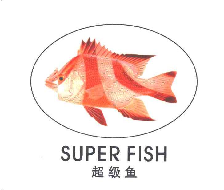 超级鱼 SUPER FISH