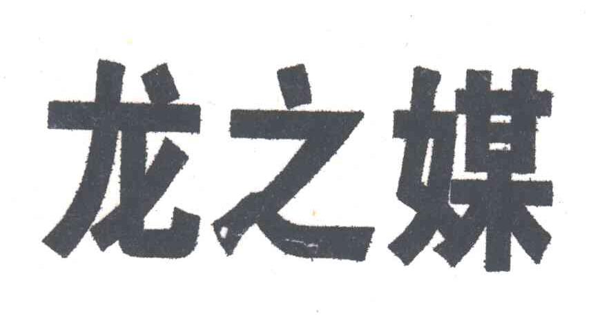 龙之媒