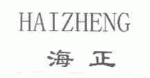 海正