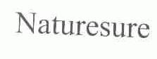 NATURESURE