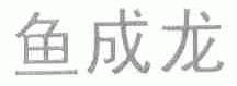 鱼成龙