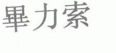 毕力索