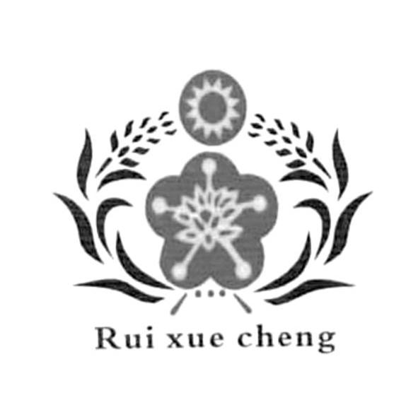 RUI XUE CHENG