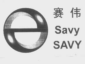 赛伟   SAVY SAVY