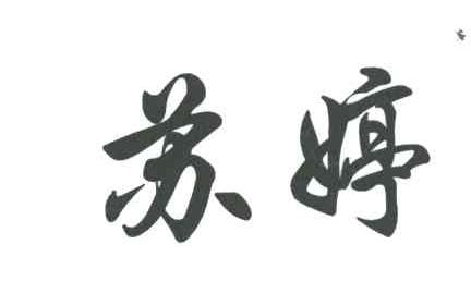 苏婷