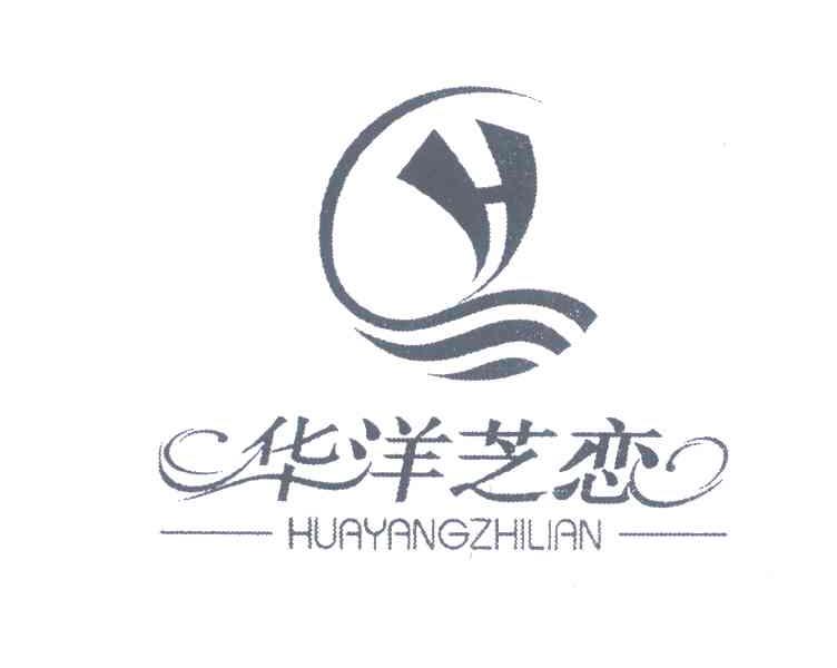 华洋芝恋 H