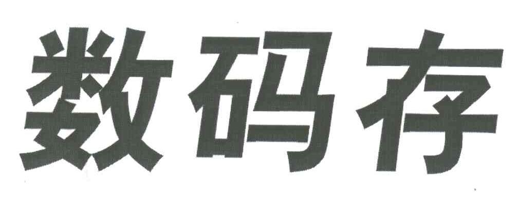数码存