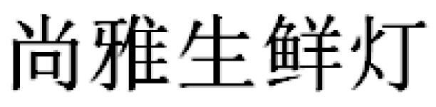 尚雅生鲜灯