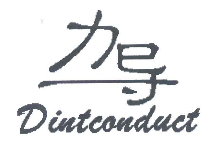 力导;DINTCONDUCT