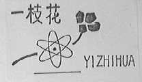 一枝花
