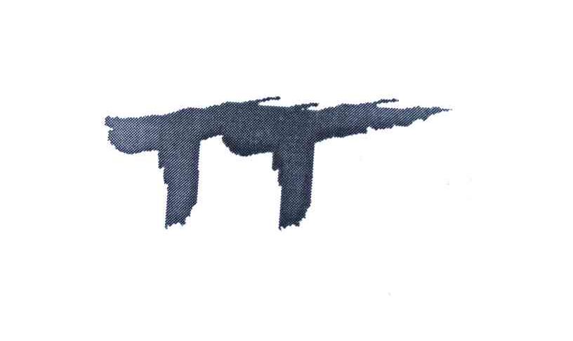 TT