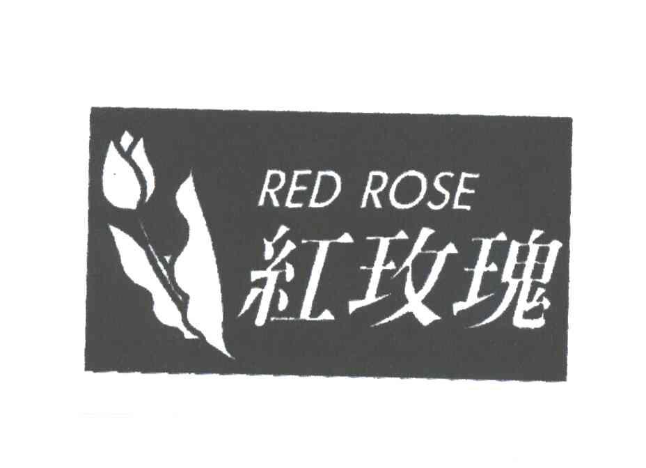 红玫瑰
