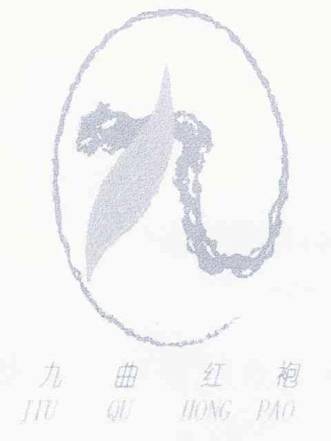 九曲红袍 九