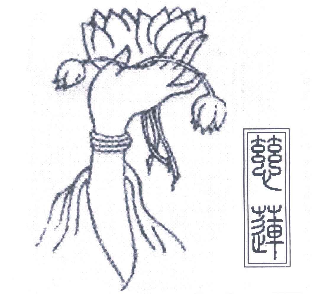 慈莲