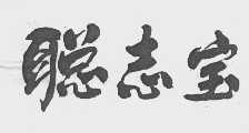 聪志宝