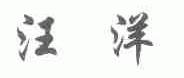 汪洋