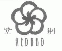 紫荆;REDBUD