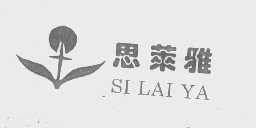 思莱雅