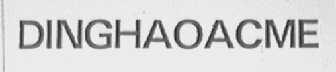 DINGHAOACME