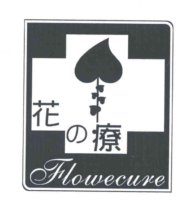 花疗;FLOWECURE