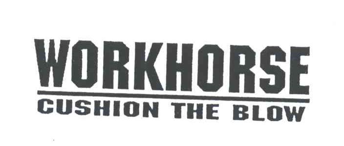 WORKHORSE CUSHION THE BLOW