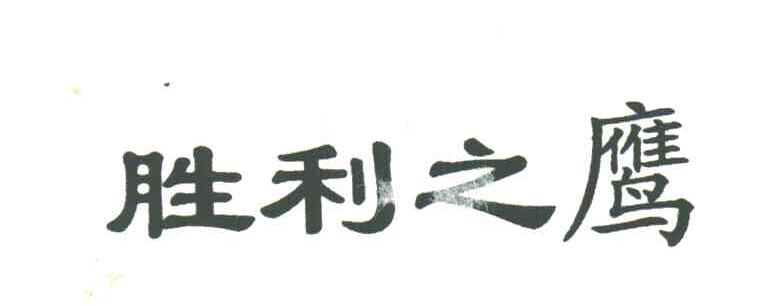 胜利之鹰