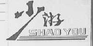 少游