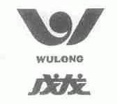 戊龙