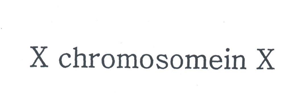 X CHROMOSOMEIN X