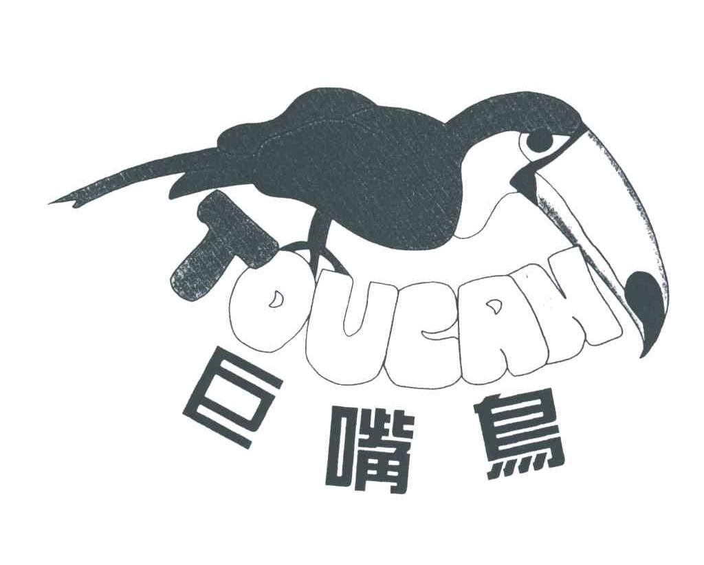 巨嘴鸟