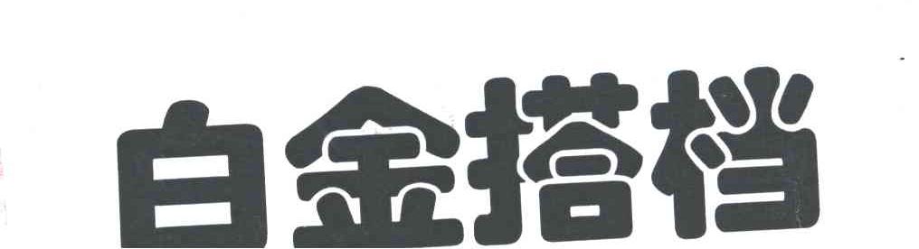 白金搭档