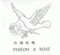 白鸽玫瑰;PIGEON & ROSE