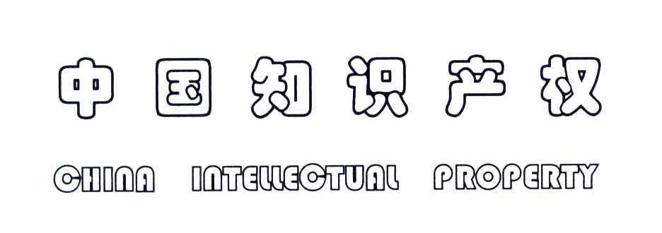 中国知识产权;CHINA INTELLECTUAL PROPERTY
