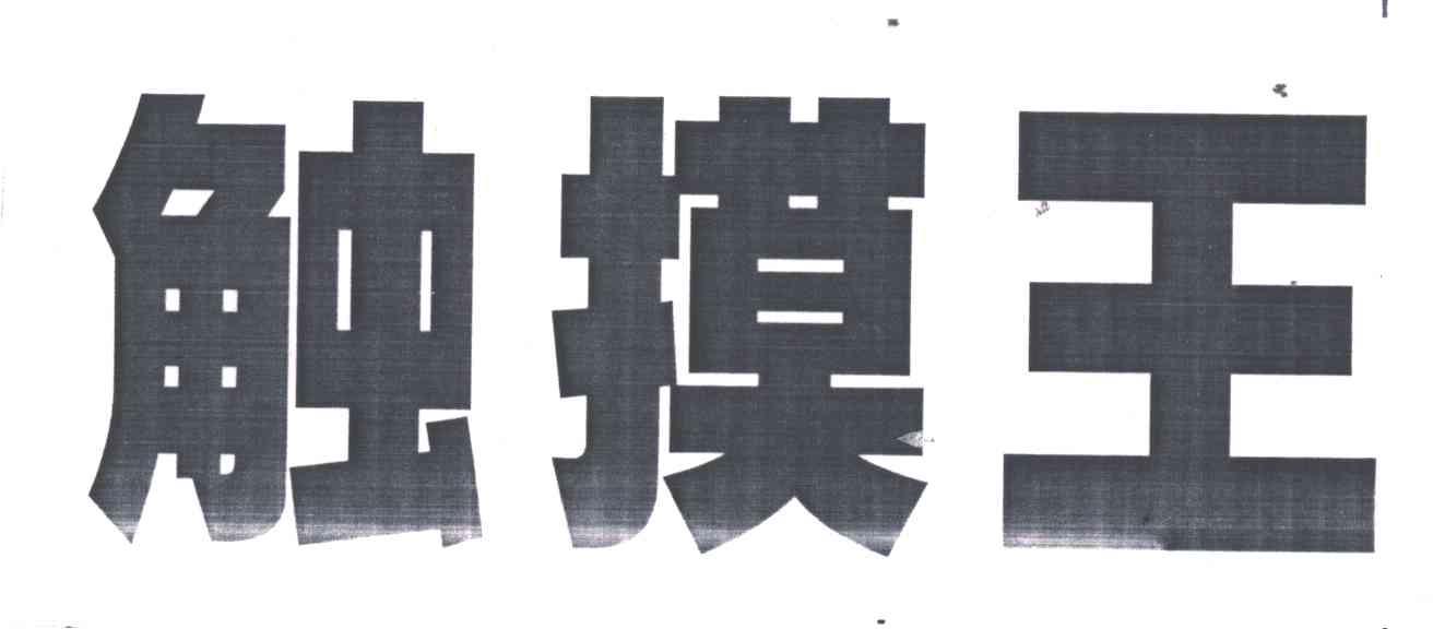 触摸王