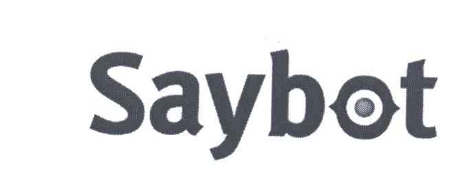 SAYBOT