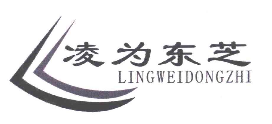 凌为东芝;LING WEI DONG ZHI