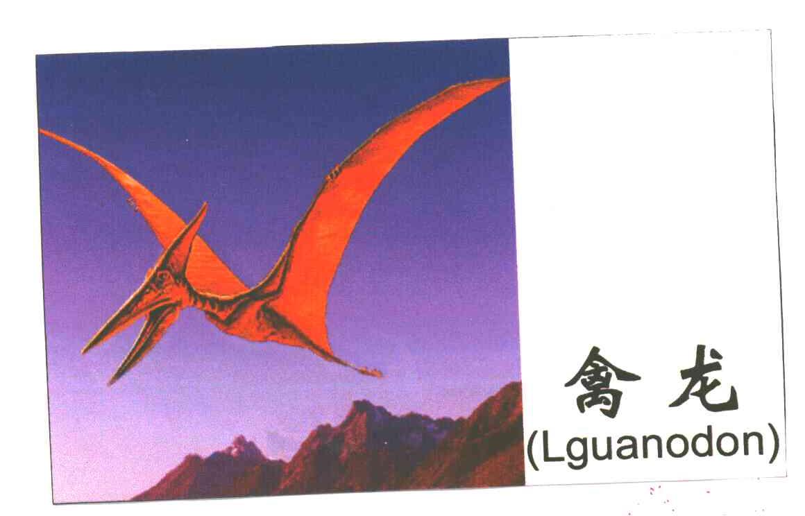 禽龙